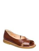 Sandals - Flat - Open Toe - Clo ANGULUS Brown