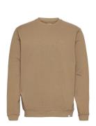 Sweatshirt Enkel Studio Brown