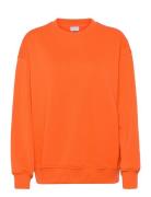 Sweatshirt Enkel Studio Orange