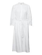 Cotton Broadcloth Dress Polo Ralph Lauren White