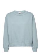 Pippa Embroidered Sweat AllSaints Blue