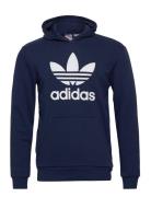 Trefoil Hoodie Adidas Originals Blue