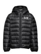 Outerwear EA7 Black