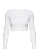 Luxe Seamless Cropped Long Sleeve AIM'N White