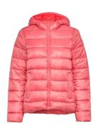 Hooded Polyfilled Jacket Champion Pink