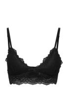 Tanya Bralette Missya Black