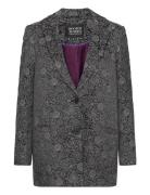 Scotch & Soda Scotch & Soda Grey