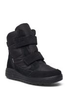 Urban Snowboarder ECCO Black