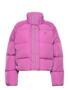 Short Down Jacket Adidas Originals Pink