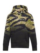 Salbytigercam Over Sweat-Shirt Diesel Green