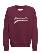 Kids Girls Sweatshirts Abercrombie & Fitch Burgundy