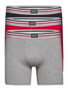 Boxer Trunk 3-P Jockey Grey