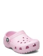 Classic Clog T Crocs Pink