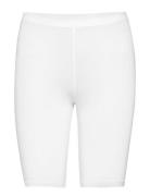 Decoy Shorts Viscose Stretch Decoy White