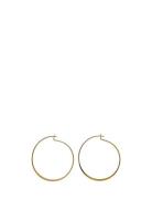 Tilly Earrings Pilgrim Gold