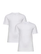 Basic 32 -T-Shirt Ss Minymo White