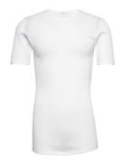 Jbs T-Shirt Mesh JBS White