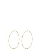 Sanne X-Large Hoop Earrings Gold-Plated Pilgrim Gold
