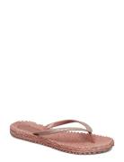 Flipflop With Glitter Ilse Jacobsen Pink