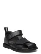Sandals - Flat - Closed Toe - ANGULUS Black
