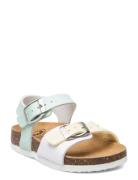 Sl Dolphin Pu Leather Wht-Multi Scholl White