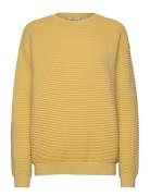 Ista - Organic Cotton Basic Apparel Yellow