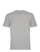 Bamboo Tee Frank Dandy Grey