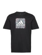 Sport Optimist Sun Logo Sportswear Graphic T-Shirt Adidas Performance ...