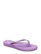 Flipflop With Glitter Ilse Jacobsen Purple