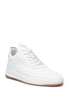 Low Top Bianco Green Filling Pieces White