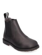 Booties - Flat - With Elastic ANGULUS Black