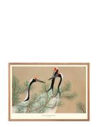 Cranes-From-Momoyogusa Poster & Frame Patterned