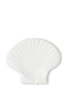 Plate Shell M Byon White