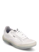 Shoe Adult Unisex Numeric Wid VANS White