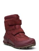 Biom K2 ECCO Red