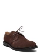 Shoes - Flat - With Lace ANGULUS Brown