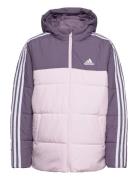 Jg Cb Pad Jkt Adidas Sportswear Purple