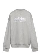 Fleece Crew Sweatshirt Kids Adidas Sportswear Grey