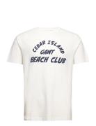 Cedar Graphic T-Shirt GANT White