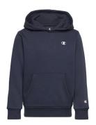 Hooded Sweatshirt Champion Navy