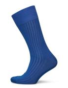 Cobalt Blue Ribbed Socks AN IVY Blue