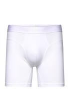 Shorts Adidas Underwear White