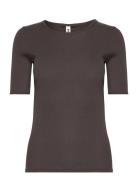 Eswalmue Ss Tshirt Solid F Enkel Studio Brown