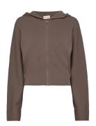 Esgran Ls Hoodie Knit F Enkel Studio Brown