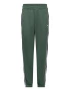 Ace Tapered Pants Björn Borg Green