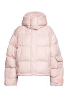 Steilia Short Down Jacket HOLZWEILER Pink