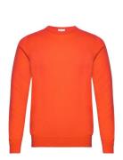 Man O-Neck Plain Davida Cashmere Orange