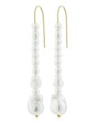 Willpower Pearl Earrings Pilgrim White