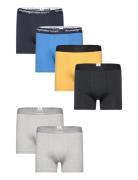 6-Pack Underwear - Gots/Vegan Knowledge Cotton Apparel Patterned