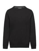 Knit Cotton Sweater Mango Black